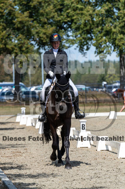 Kronenberg - De Peelbergen (August 2020)