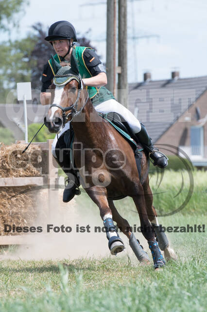 Vielseitigkeitsturnier ZRuFV von Lützow Hamminkeln