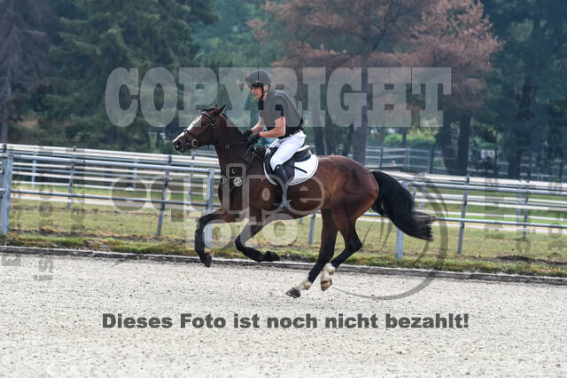 Late-Entry-Vielseitigkeit Langenfeld (11.+13./14.06.2020)