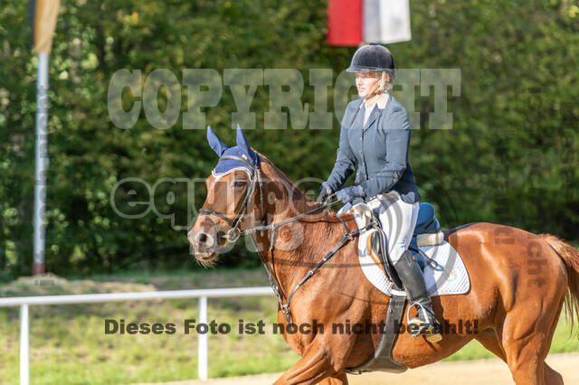 RFV Dinslaken-Hiesfeld (Herbstturnier)