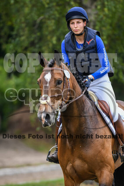 Late-Entry-Vielseitigkeit Langenfeld (11.+13./14.06.2020)