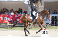 FEI European Championship Eventing 2017