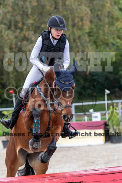 Goldene Schärpe 2020 - Pferde