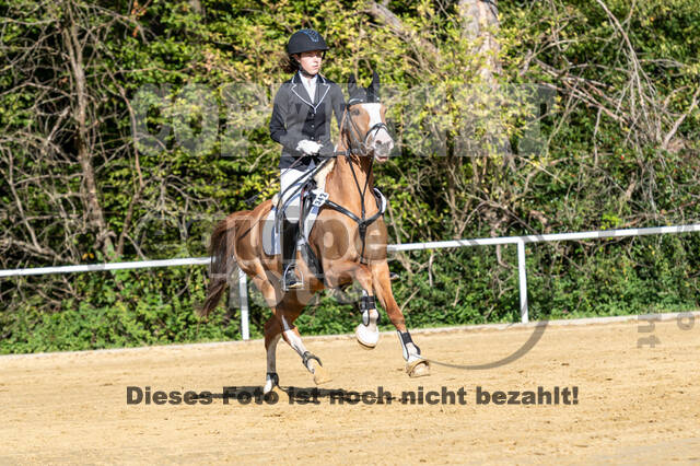RFV Dinslaken-Hiesfeld (Herbstturnier)