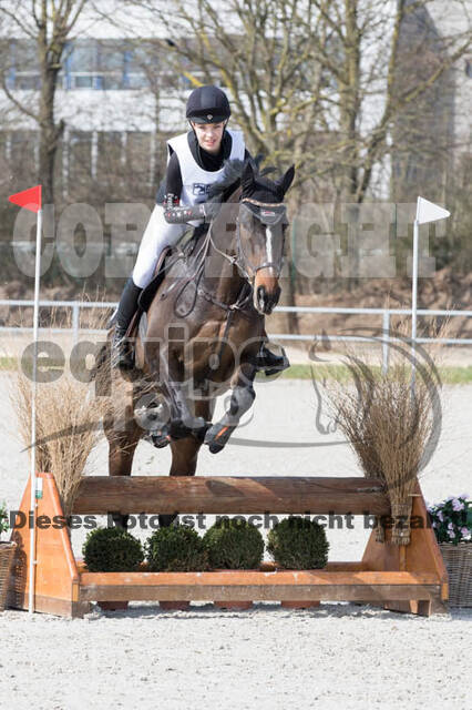 Eventing Langenfeld 2018