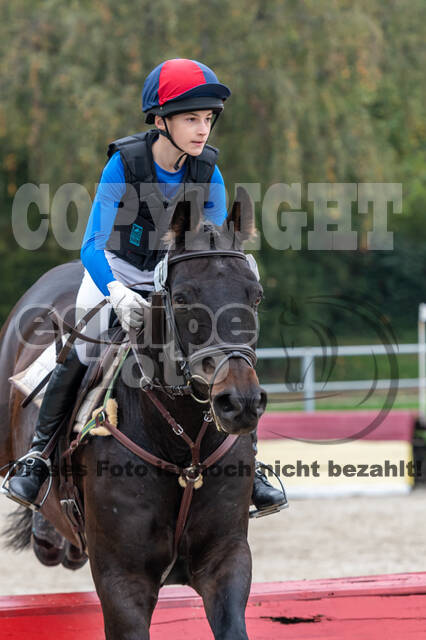 Goldene Schärpe 2020 - Pferde