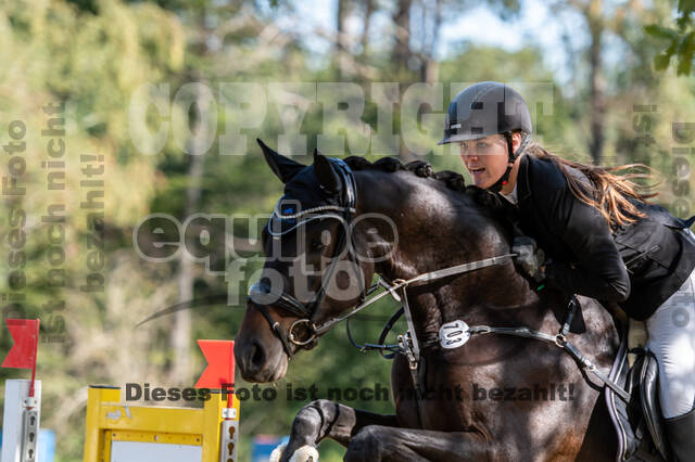 RFV Dinslaken-Hiesfeld (Herbstturnier)
