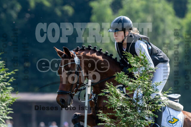 Goldene Schärpe 2021 - Ponys