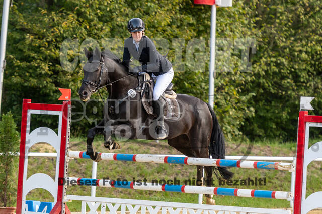 RFV Dinslaken-Hiesfeld (Herbstturnier)