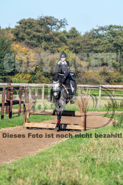 Vielseitigkeitslehrgang mit Jürg Kurbel (9.+10.11.2019)
