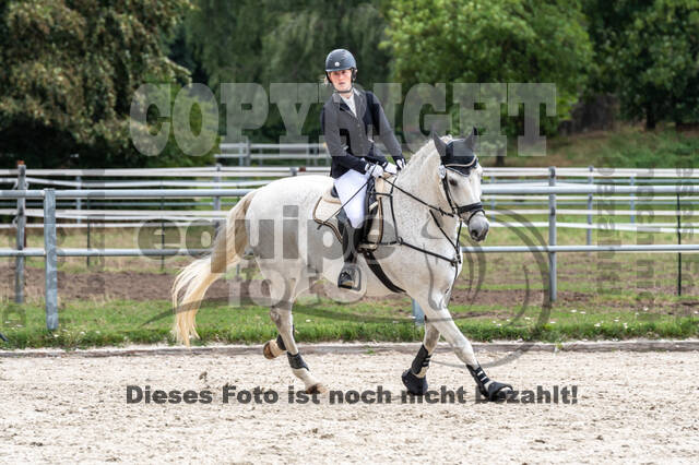 Late-Entry-Vielseitigkeit Langenfeld (06.+07.07.2020)