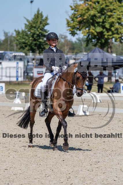 Kronenberg - De Peelbergen (August 2020)