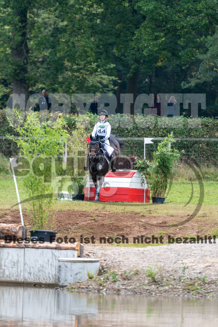 Deutsche Meisterschaft Vielseitigkeit (Luhmühlen)
