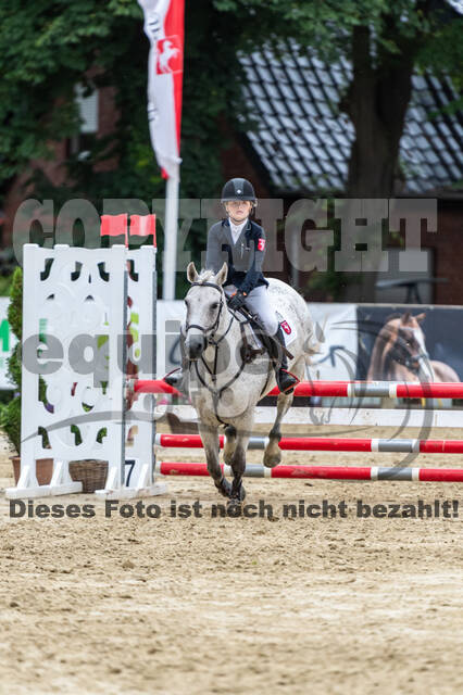 Goldene Schärpe 2021 - Ponys