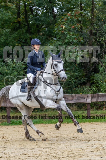 Vielseitigkeit RSV Wesel Obrighoven (26.+27.09.2020)