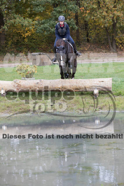 IGV Lehrgang der Sieger der Cups mit Frank Ostholt