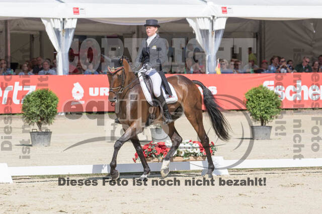 FEI European Championship Eventing 2017