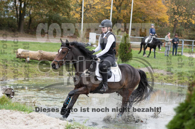 IGV Lehrgang der Sieger der Cups mit Frank Ostholt
