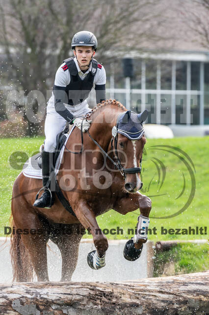 Goldene Schärpe 2020 - Pferde