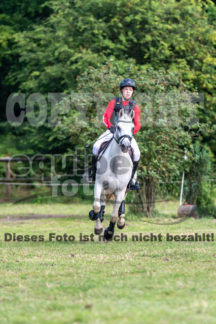 Goldene Schärpe 2021 - Ponys