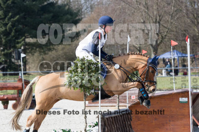 Eventing Langenfeld 2018