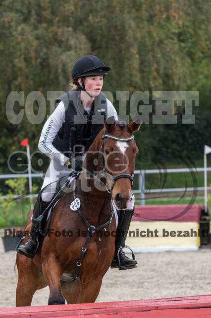 Goldene Schärpe 2020 - Pferde