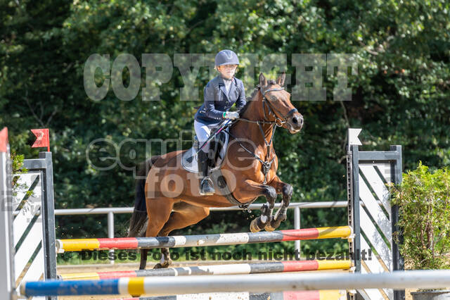 RFV Dinslaken-Hiesfeld (Herbstturnier)