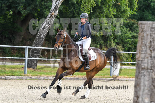 Late-Entry-Vielseitigkeit Langenfeld (11.+13./14.06.2020)