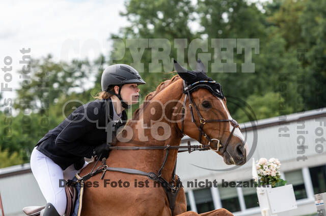 Late-Entry-Vielseitigkeit Langenfeld (06.+07.07.2020)