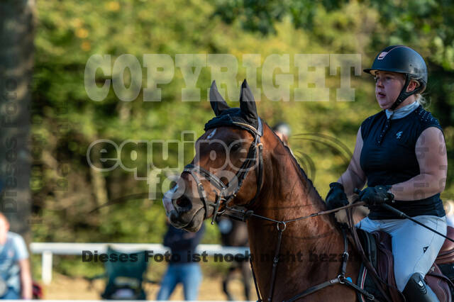 RFV Dinslaken-Hiesfeld (Herbstturnier)