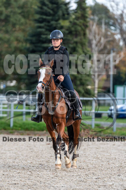 IGV Lehrgang der Sieger der Cups mit Frank Ostholt