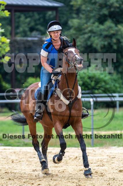 Hunter Geländetraining 10.07.2021 (Sonsbeck)