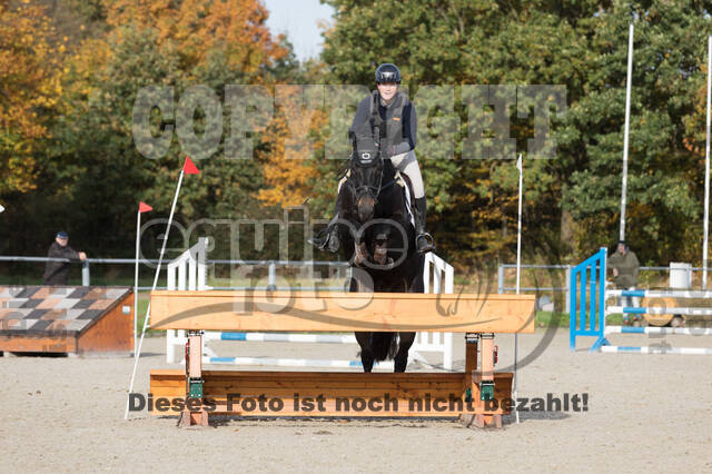IGV Lehrgang der Sieger der Cups mit Frank Ostholt