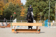 IGV Lehrgang der Sieger der Cups mit Frank Ostholt