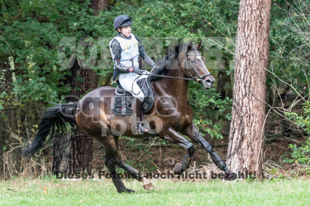 Vielseitigkeit RSV Wesel Obrighoven (26.+27.09.2020)