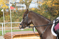 IGV Lehrgang der Sieger der Cups mit Frank Ostholt