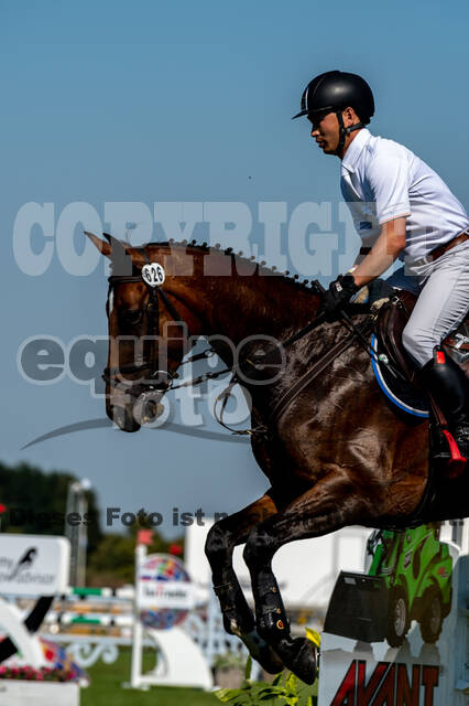 Kronenberg - De Peelbergen (August 2020)