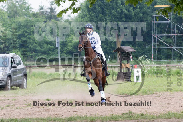 Vielseitigkeitsturnier ZRFV von Lützow Hamminkeln