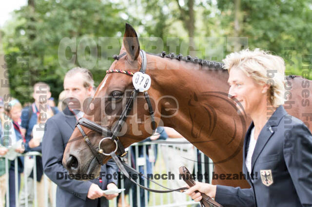 FEI European Championship Eventing 2017