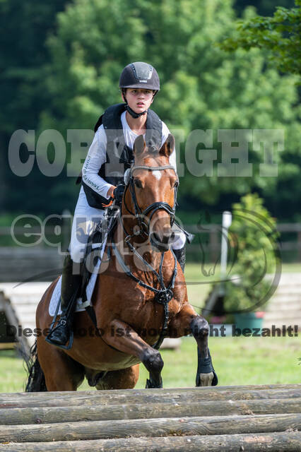 Goldene Schärpe 2021 - Ponys