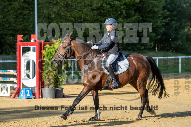 RFV Dinslaken-Hiesfeld (Herbstturnier)