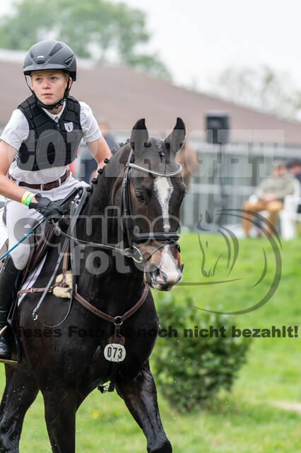 Goldene Schärpe 2020 - Pferde