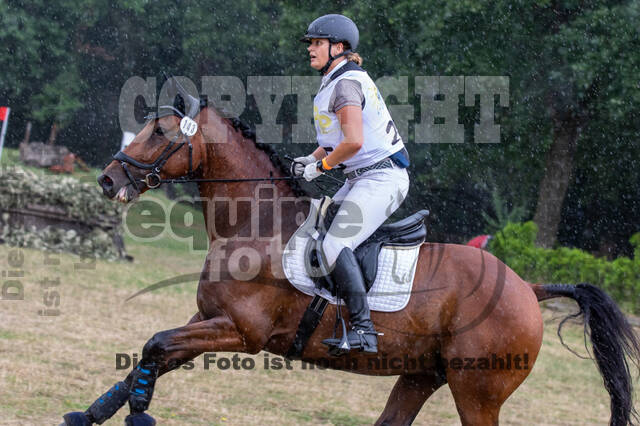 Late-Entry Vielseitigkeit Hamminkeln/Wesel (01.+02.08.2020)