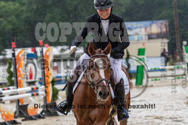 Goldene Schärpe 2021 - Ponys