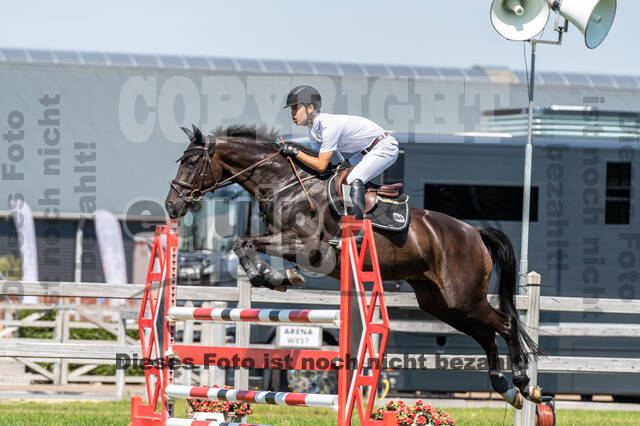 Kronenberg - De Peelbergen (August 2020)