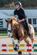 IGV Lehrgang der Sieger der Cups mit Frank Ostholt