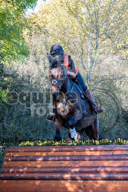 Vielseitigkeitslehrgang mit Jürg Kurbel (9.+10.11.2019)
