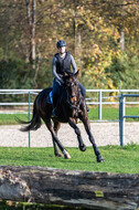 IGV Lehrgang der Sieger der Cups mit Frank Ostholt