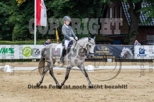 Goldene Schärpe 2021 - Ponys