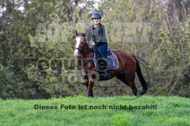 IGV Lehrgang der Sieger der Cups mit Frank Ostholt